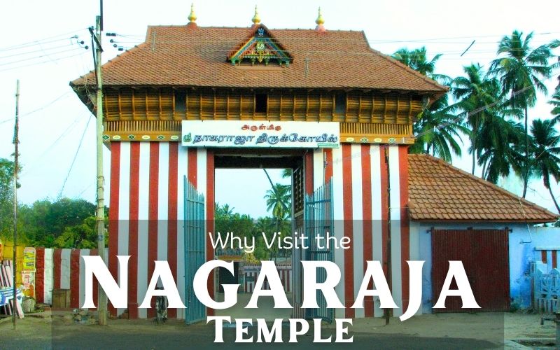 Nagaraja Temple in Kanyakumari