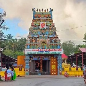 celebrations in kanyakumari